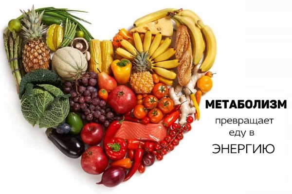 метаболизм - это энергия